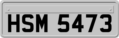 HSM5473