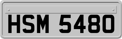 HSM5480