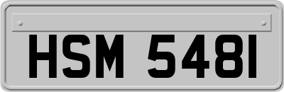 HSM5481