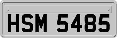 HSM5485