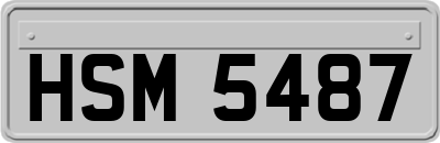 HSM5487