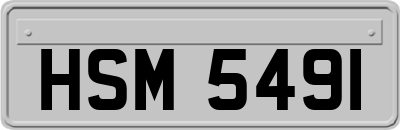 HSM5491