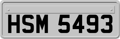 HSM5493