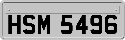 HSM5496
