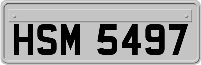HSM5497