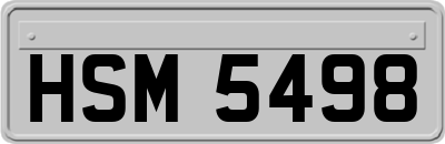 HSM5498