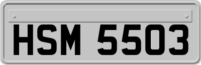HSM5503