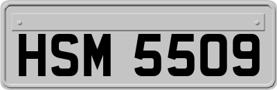 HSM5509