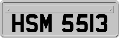 HSM5513