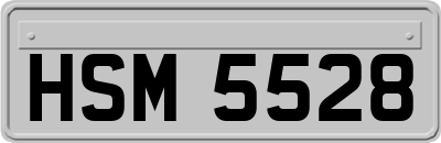 HSM5528