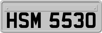 HSM5530