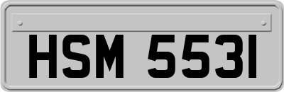 HSM5531