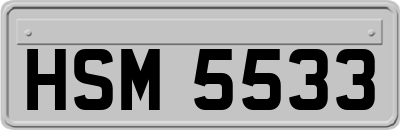 HSM5533