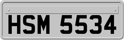HSM5534