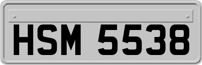 HSM5538
