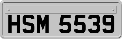 HSM5539
