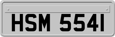 HSM5541