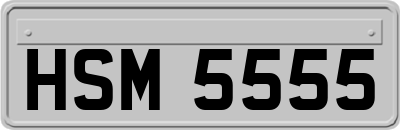 HSM5555