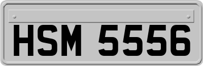 HSM5556