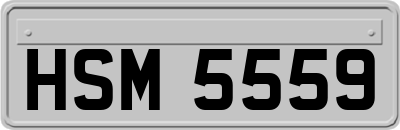 HSM5559