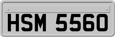 HSM5560