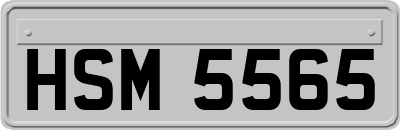 HSM5565