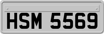 HSM5569