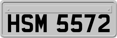 HSM5572