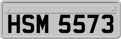 HSM5573