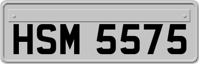 HSM5575