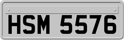 HSM5576