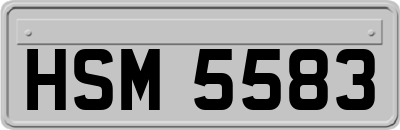HSM5583
