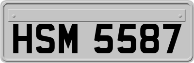 HSM5587