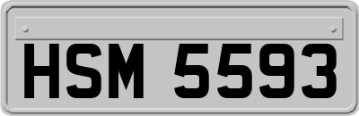 HSM5593