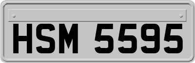 HSM5595