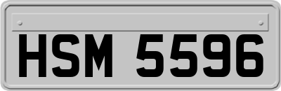 HSM5596