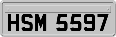 HSM5597