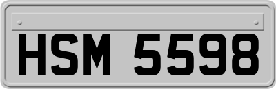 HSM5598
