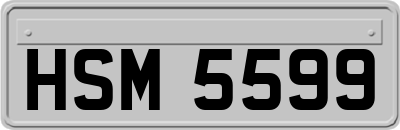 HSM5599