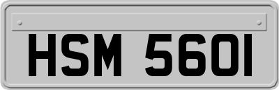 HSM5601
