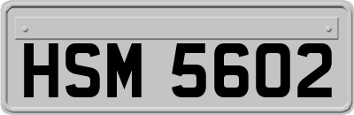 HSM5602