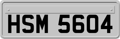 HSM5604
