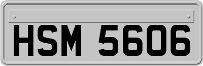 HSM5606