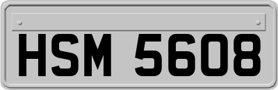 HSM5608