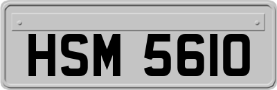 HSM5610