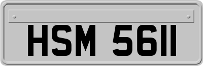 HSM5611