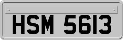 HSM5613