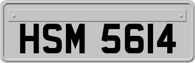 HSM5614
