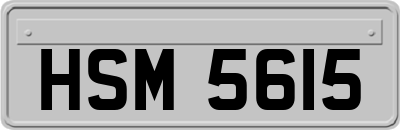 HSM5615