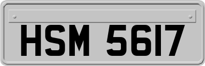 HSM5617